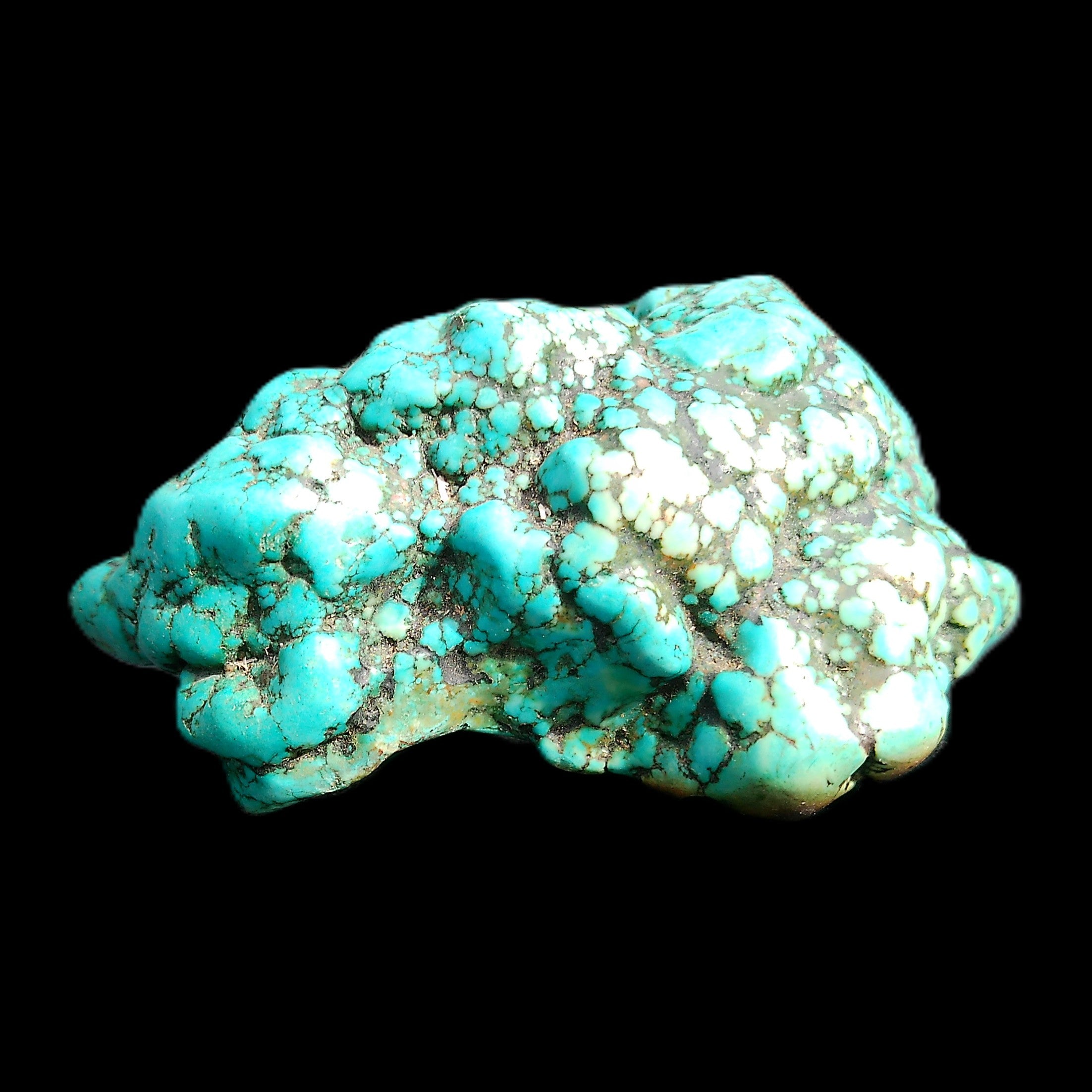Persian Turquoise 75*55mm 134.5g in sunlight - Rocks and Things Store
