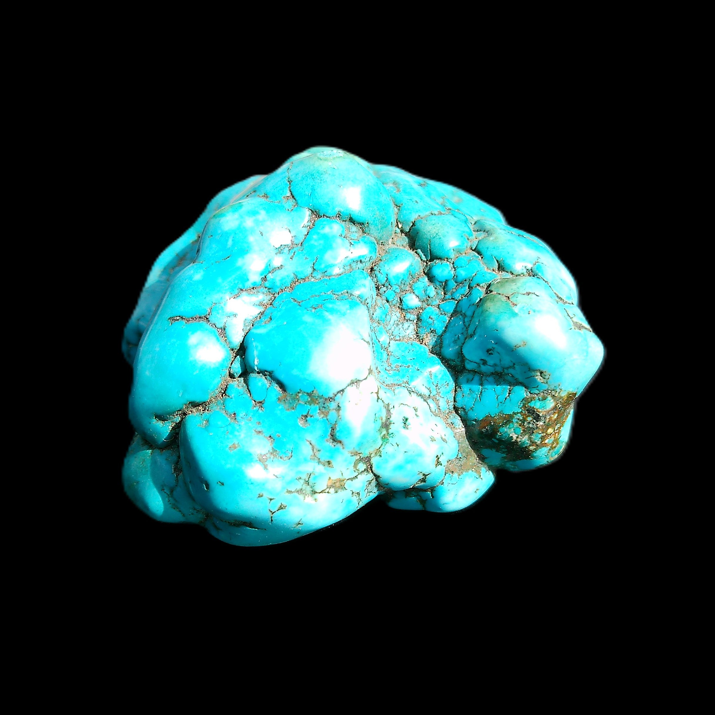 Persian Turquoise 51*30mm 173g in sunlight - Rocks and Things Store