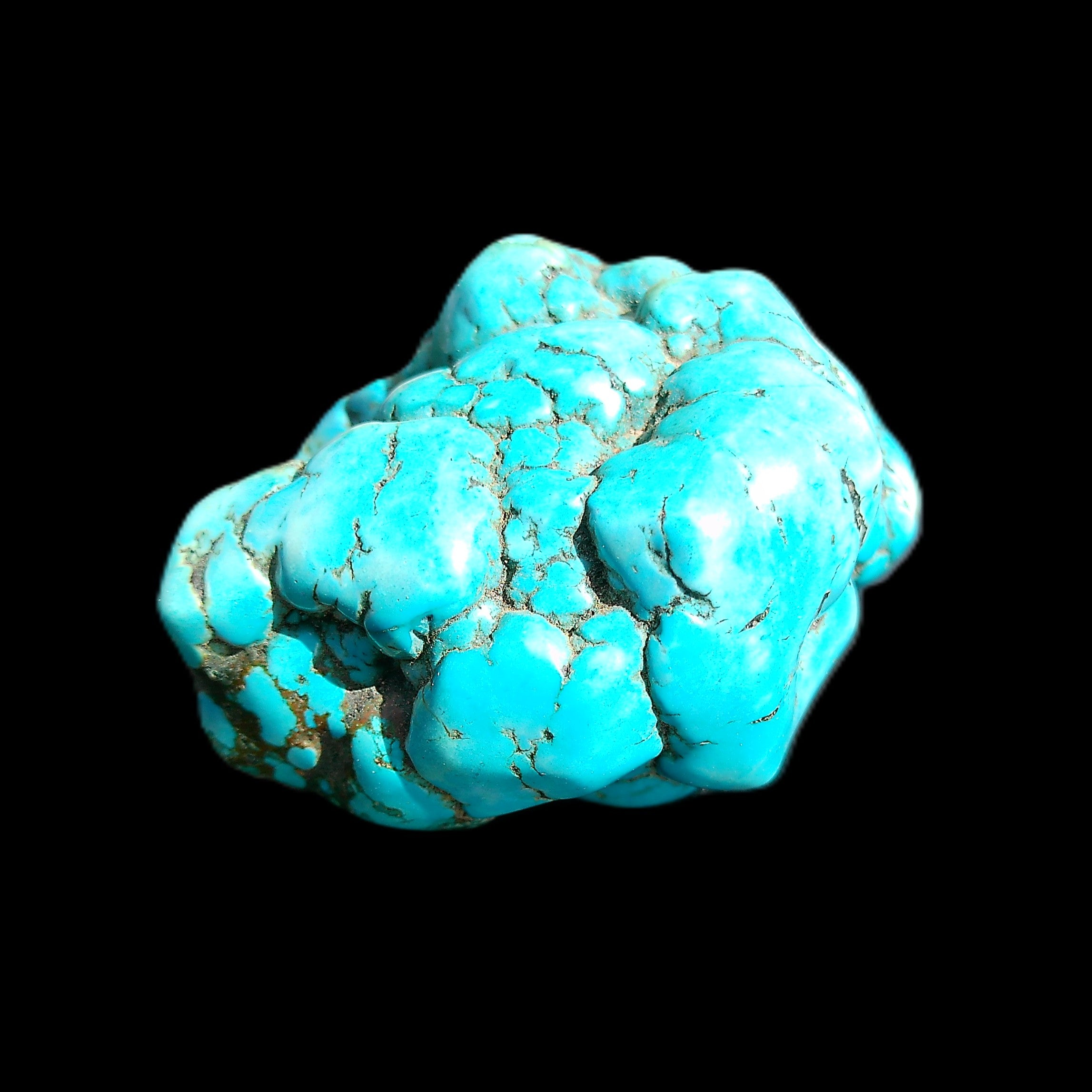 Persian Turquoise 51*30mm 173g in sunlight - Rocks and Things Store