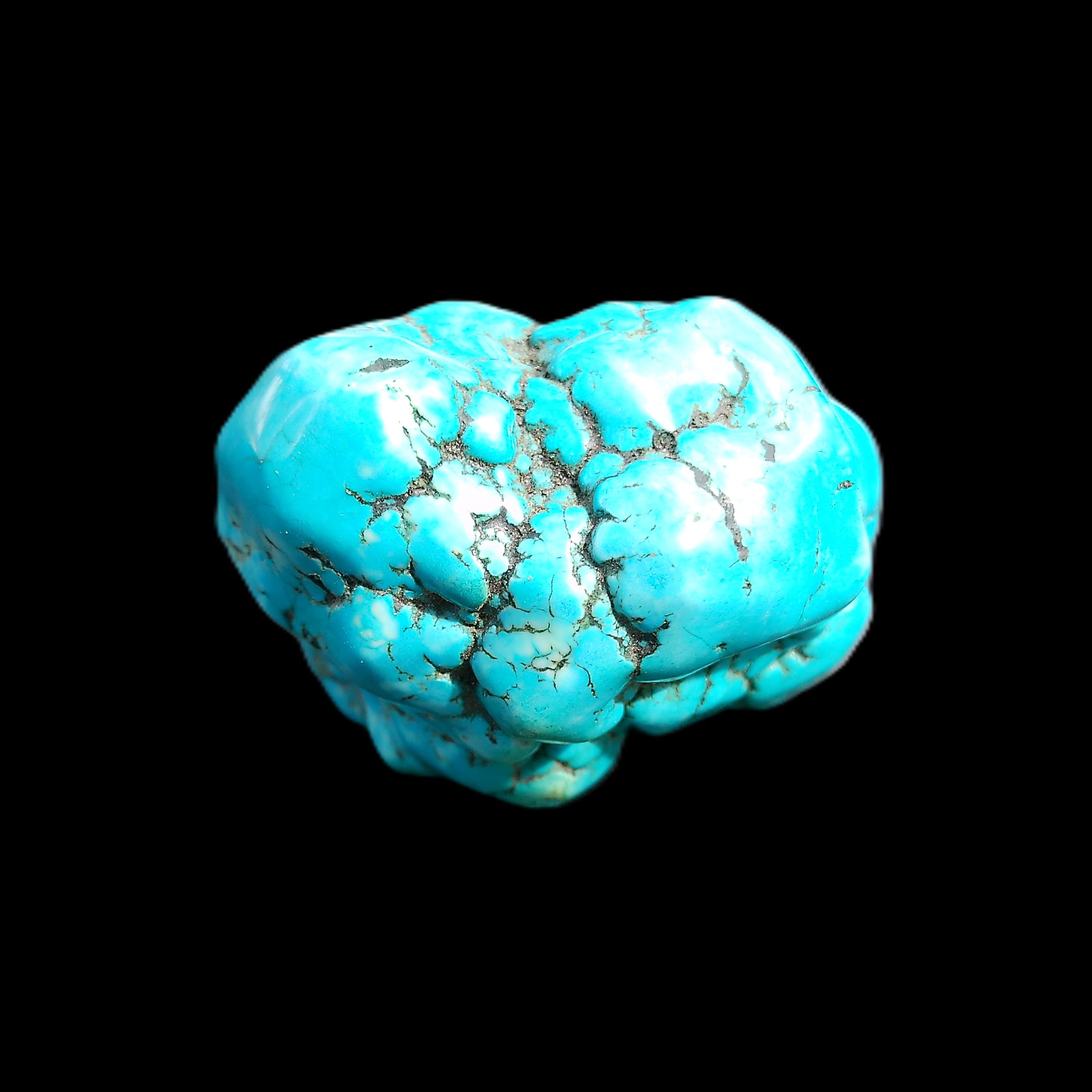 Persian Turquoise 51*30mm 173g in sunlight - Rocks and Things Store