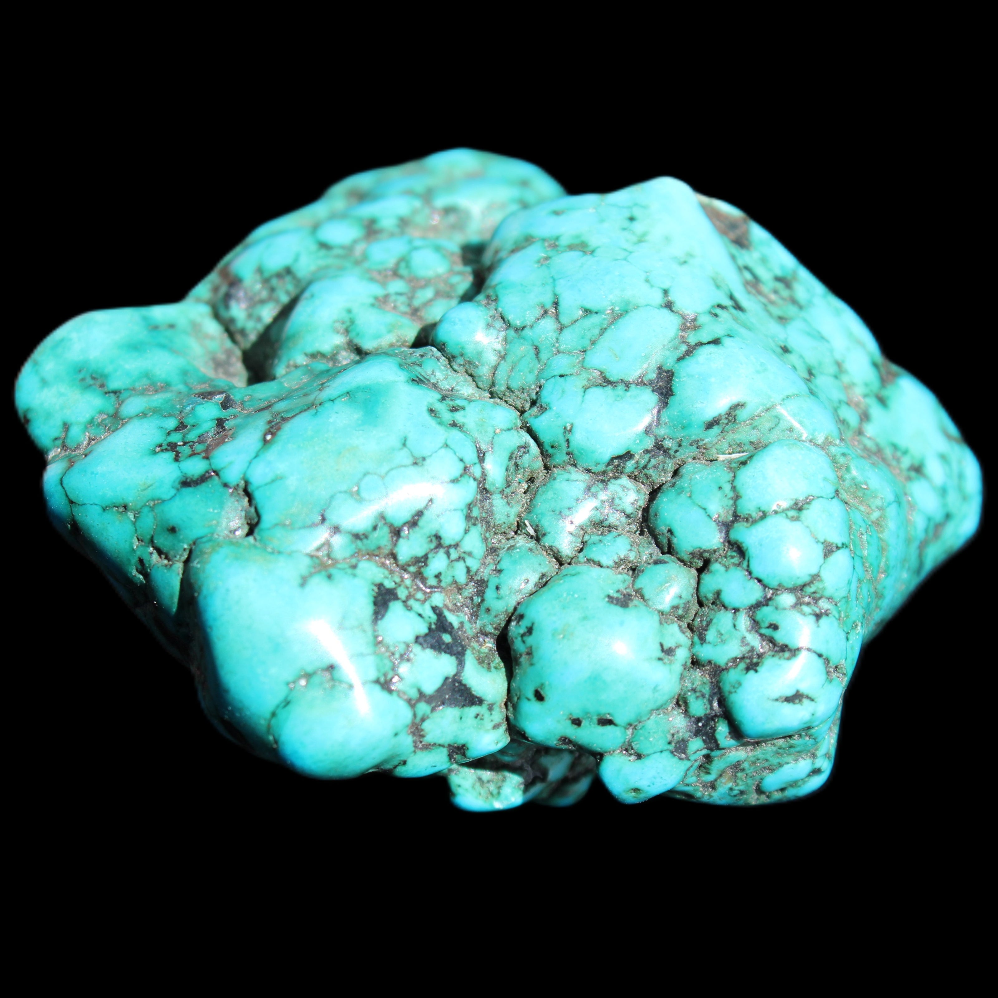 Persian Turquoise 45*39mm 68.9g in sunlight - Rocks and Things Store