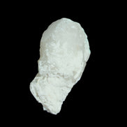 Green Tourmaline on Elestial Quartz with mica 60*35*26mm 70g in sunlight - Rocks and Things Store