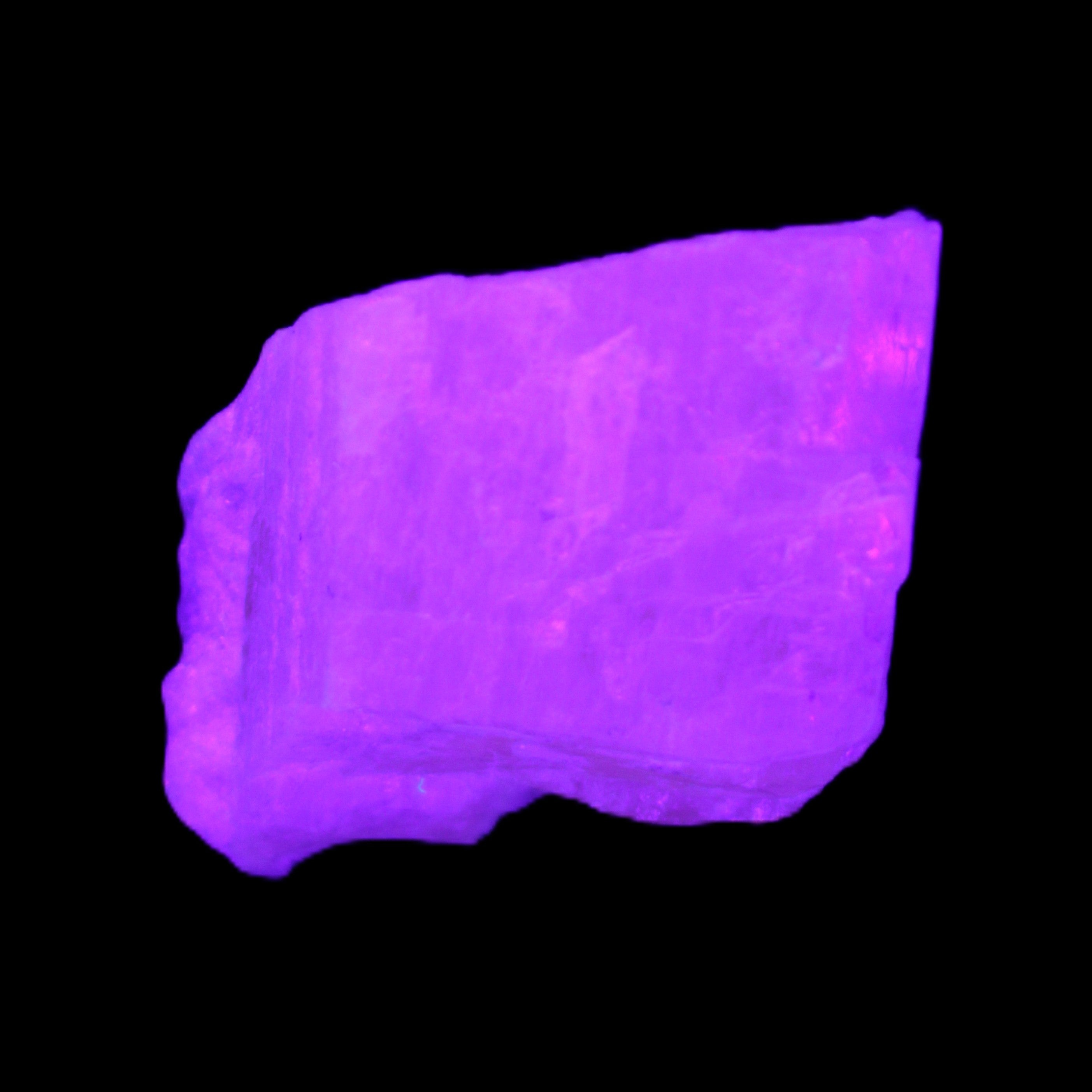 Pink Fluorescent White Calcite crystal 42*28*23mm 41g in UV light - Rocks and Things Store