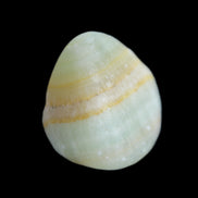 Pistachio Calcite tumbled stone 14-24g in sunlight - Rocks and Things Store