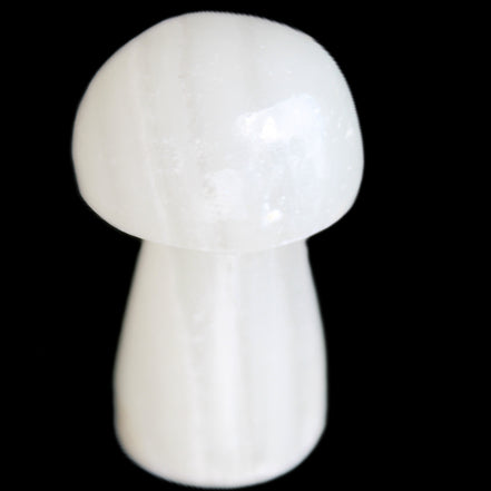 Clear Calcite mushroom 26-30mm 10-15g in sunlight - Rocks and Things Store