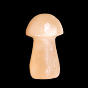 Clear Afghan Jade mushroom 25-32mm 11-15g in sunlight - Rocks and Things Store