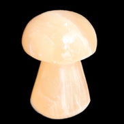 Clear Afghan Jade mushroom 25-32mm 11-15g in sunlight - Rocks and Things Store