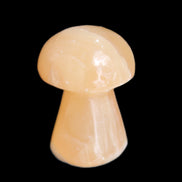 Clear Afghan Jade mushroom 25-32mm 11-15g in sunlight - Rocks and Things Store