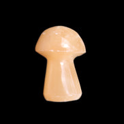 Clear Afghan Jade mushroom 25-32mm 11-15g in sunlight - Rocks and Things Store