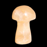 Clear Afghan Jade mushroom 25-32mm 11-15g in sunlight - Rocks and Things Store