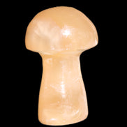 Clear Afghan Jade mushroom 25-32mm 11-15g in sunlight - Rocks and Things Store