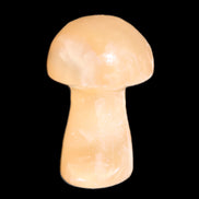 Clear Afghan Jade mushroom 25-32mm 11-15g in sunlight - Rocks and Things Store