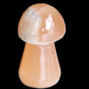 Clear Afghan Jade mushroom 25-32mm 11-15g in sunlight - Rocks and Things Store