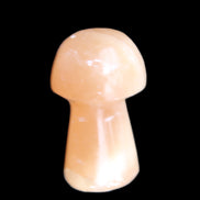 Clear Afghan Jade mushroom 25-32mm 11-15g in sunlight - Rocks and Things Store