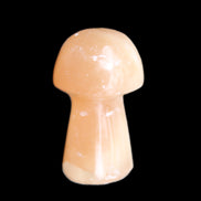 Clear Afghan Jade mushroom 25-32mm 11-15g in sunlight - Rocks and Things Store