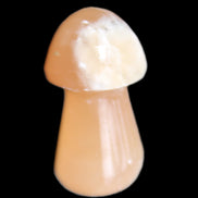 Clear Afghan Jade mushroom 25-32mm 11-15g in sunlight - Rocks and Things Store