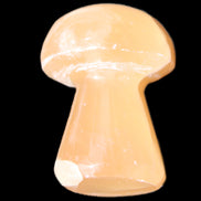 Clear Afghan Jade mushroom 25-32mm 11-15g in sunlight - Rocks and Things Store