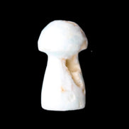 Blue Aragonite mushroom 25-31mm 5-11g in sunlight - Rocks and Things Store