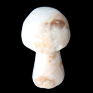 Blue Aragonite mushroom 25-31mm 5-11g in sunlight - Rocks and Things Store