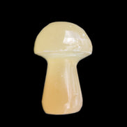 Afghan Jade mushroom 24-30mm 8-14g in sunlight - Rocks and Things Store