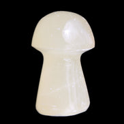 Afghan Jade mushroom 24-30mm 8-14g in sunlight - Rocks and Things Store