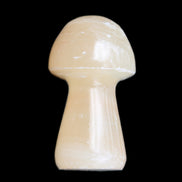 Afghan Jade mushroom 24-30mm 8-14g in sunlight - Rocks and Things Store