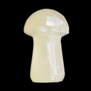 Afghan Jade mushroom 24-30mm 8-14g in sunlight - Rocks and Things Store