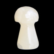 Afghan Jade mushroom 24-30mm 8-14g in sunlight - Rocks and Things Store