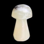 Afghan Jade mushroom 24-30mm 8-14g in sunlight - Rocks and Things Store