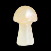 Afghan Jade mushroom 24-30mm 8-14g in sunlight - Rocks and Things Store