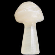 Afghan Jade mushroom 24-30mm 8-14g in sunlight - Rocks and Things Store