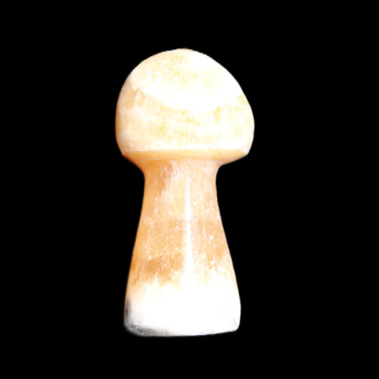 Pink and Yellow Calcite mushroom 25-30m 9-14g in sunlight - Rocks and Things Store