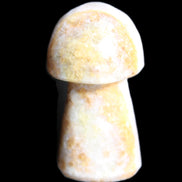 Pink and Yellow Calcite mushroom 25-30m 9-14g in sunlight - Rocks and Things Store