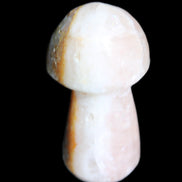 Pink and Yellow Calcite mushroom 25-30m 9-14g in sunlight - Rocks and Things Store