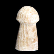 Pale Chocolate Calcite mushroom 27-33mm 7-15g in sunlight - Rocks and Things Store