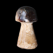 Pale Chocolate Calcite mushroom 27-33mm 7-15g in sunlight - Rocks and Things Store