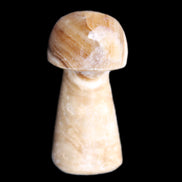 Pale Chocolate Calcite mushroom 27-33mm 7-15g in sunlight - Rocks and Things Store