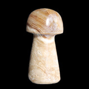 Pale Chocolate Calcite mushroom 27-33mm 7-15g in sunlight - Rocks and Things Store