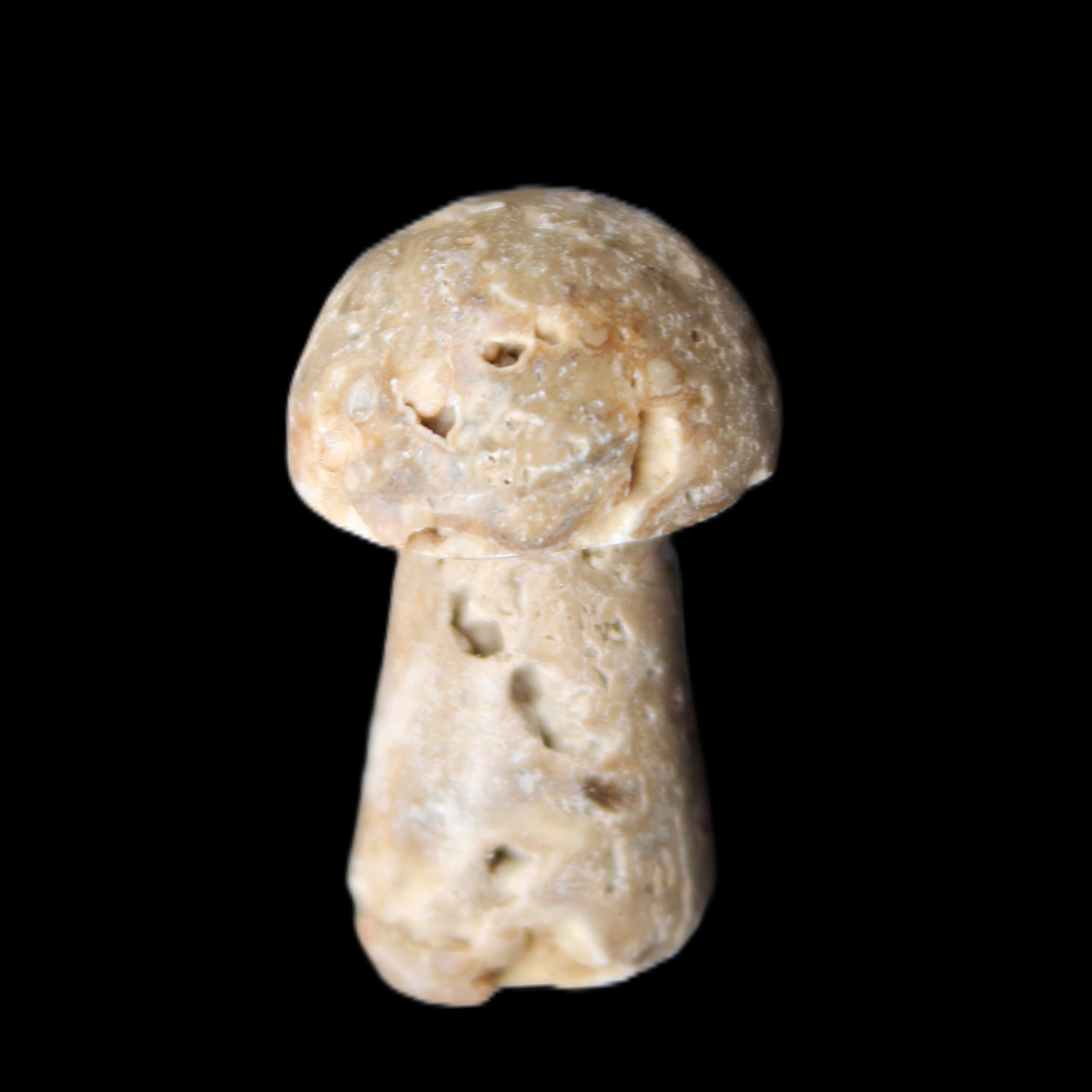 Pale Chocolate Calcite mushroom 27-33mm 7-15g in sunlight - Rocks and Things Store