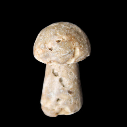 Pale Chocolate Calcite mushroom 27-33mm 7-15g in sunlight - Rocks and Things Store