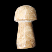 Pale Chocolate Calcite mushroom 27-33mm 7-15g in sunlight - Rocks and Things Store