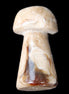 Pale Chocolate Calcite mushroom 27-33mm 7-15g in sunlight - Rocks and Things Store