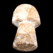 Pale Chocolate Calcite mushroom 27-33mm 7-15g in sunlight - Rocks and Things Store