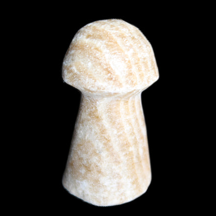 Pale Chocolate Calcite mushroom 27-33mm 7-15g in sunlight - Rocks and Things Store