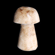 Pale Chocolate Calcite mushroom 27-33mm 7-15g in sunlight - Rocks and Things Store