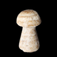 Pale Chocolate Calcite mushroom 27-33mm 7-15g in sunlight - Rocks and Things Store