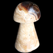 Pale Chocolate Calcite mushroom 27-33mm 7-15g in sunlight - Rocks and Things Store