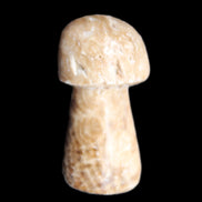 Pale Chocolate Calcite mushroom 27-33mm 7-15g in sunlight - Rocks and Things Store