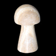 Pale Chocolate Calcite mushroom 27-33mm 7-15g in sunlight - Rocks and Things Store