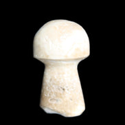 Pale Chocolate Calcite mushroom 27-33mm 7-15g in sunlight - Rocks and Things Store